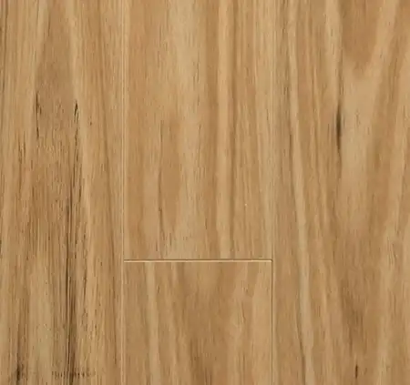 Classic Blackbutt